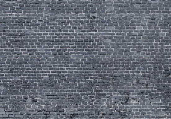 Photo Wallpaper King - Papier peint photo - Papier peint Papier peint non tissé - Papier peint - Industriel - Mur de pierre - Briques anthracite - Papier peint photo x 104 cm