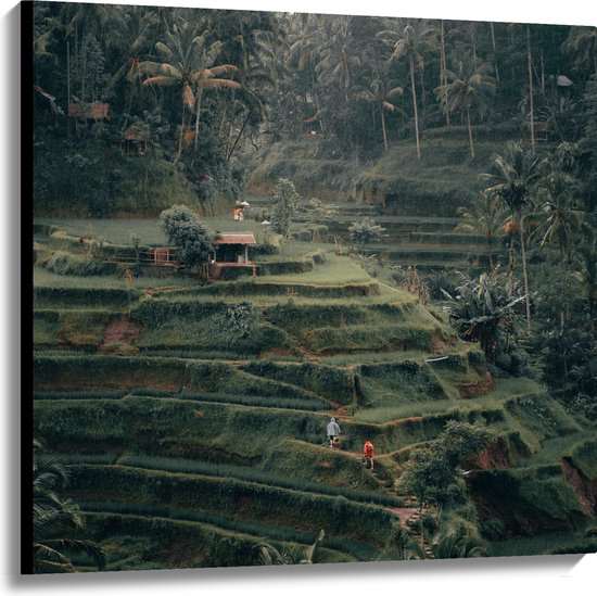 WallClassics - Toile - Champs de Ferme à Bali - 100x100 cm Tableau sur Toile (Décoration murale sur Toile)