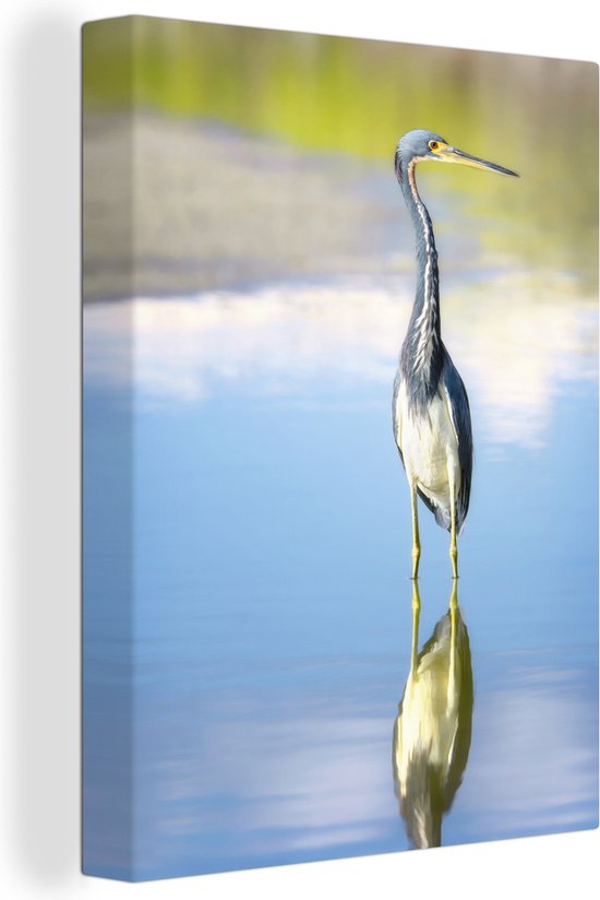 Mooie groene reiger in ondiep water Canvas 30x40 cm - Foto print op Canvas schilderij (Wanddecoratie woonkamer / slaapkamer)