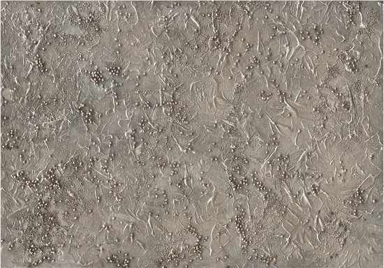 Papier peint photo - Sérénade d'Argent