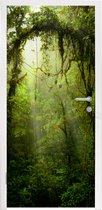 Deursticker Groen getinte afbeelding van het regenwoud van Costa Rica - 85x205 cm - Deurposter
