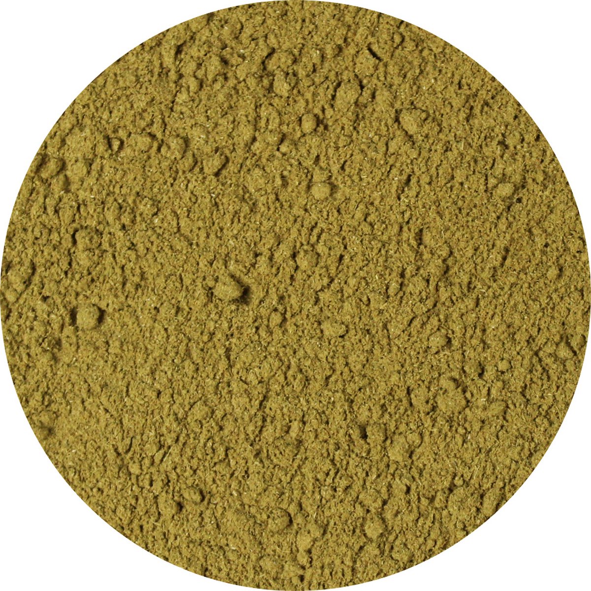 Goedkoopste Van Beekum Specerijen - Oregano Gemalen - 20 KG - Zak (bulk verpakking