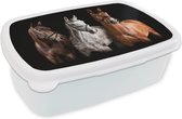Boîte à pain Zwart - Boîte à lunch - Boîte à pain - Paarden - Animaux - Wit - 18x12x6 cm - Adultes