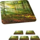 Onderzetters voor glazen - Zon - Bos - Bomen - Natuur - Herfst - 10x10 cm - Glasonderzetters - 6 stuks