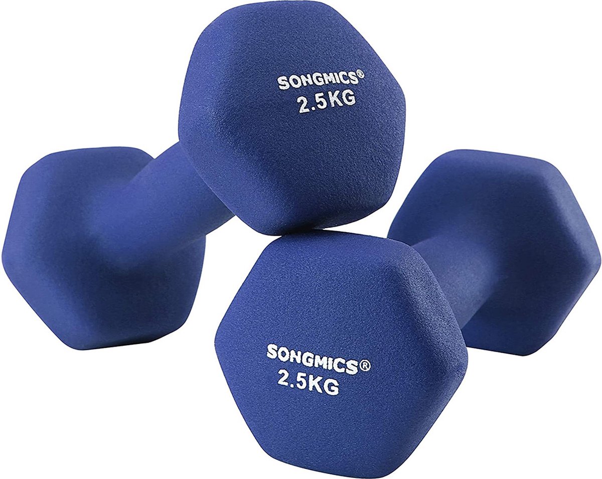 NumberOne® Dumbbells Set Van 2 Blauw - 2.5kg Per Stuk - Speciaal Geschikt Voor Thuis - Comfortabel Vast Te Houden