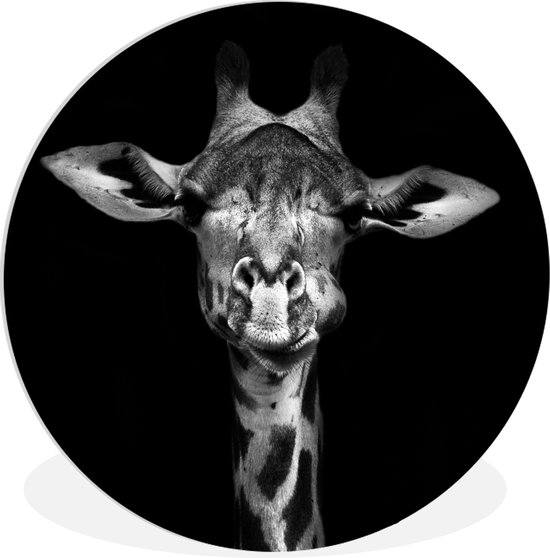 Wandcirkel - Dieren - Giraffe - Zwart wit - Portret - Muurcirkel - Ronde schilderijen - Wanddecoratie rond - 60x60 cm - Muurdecoratie cirkel - Woonkamer