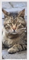 Deursticker Kat - Dier - Bruin - Meisjes - Kinderen - Jongens - Kind - 75x205 cm - Deurposter