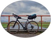 WallClassics - Dibond Ovaal - Wielrenfiets geparkeerd op Brug - 96x72 cm Foto op Ovaal (Met Ophangsysteem)