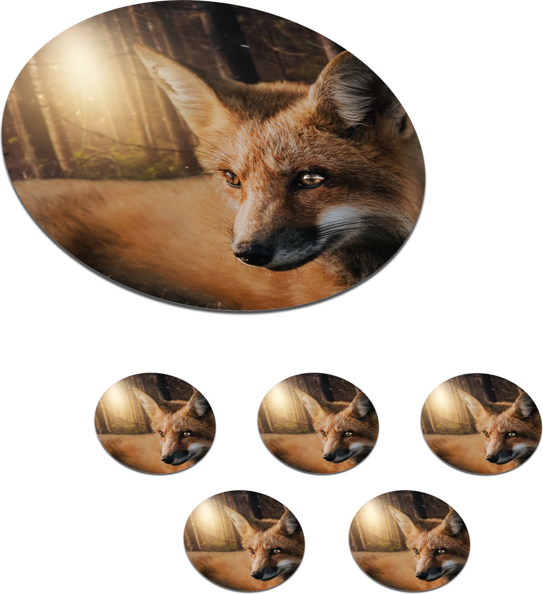 Onderzetters voor glazen - Rond - Dieren - Vos - Bos - 10x10 cm - Glasonderzetters - 6 stuks