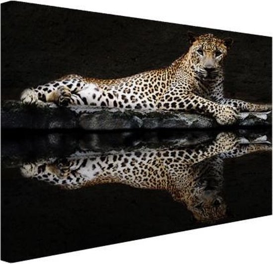 bijvoorbeeld waarde Heel Luipaard bij het water Canvas 180x120 cm - Foto print op Canvas  schilderij... | bol.com