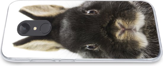Coque Xiaomi Redmi 5 - Lapin - Animaux domestiques - Fourrure - Coque de téléphone en Siliconen