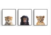 Postercity - Design Canvas Poster Jungle Set Baby Aapje, Cheeta en Tijger / Kinderkamer / Dieren Poster / Babykamer - Kinderposter / Babyshower Cadeau / Muurdecoratie / 50 x 40m