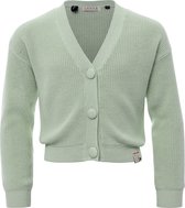 Looxs Revolution 2211-5325-330 Meisjes Sweater/Vest - Maat 116 - Groen van Katoen