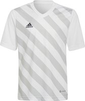 adidas - Entrada 22 GFX Jersey Youth - Gestreepte Jersey-116