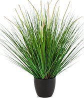 Pennisetum Woodside - kunstplant