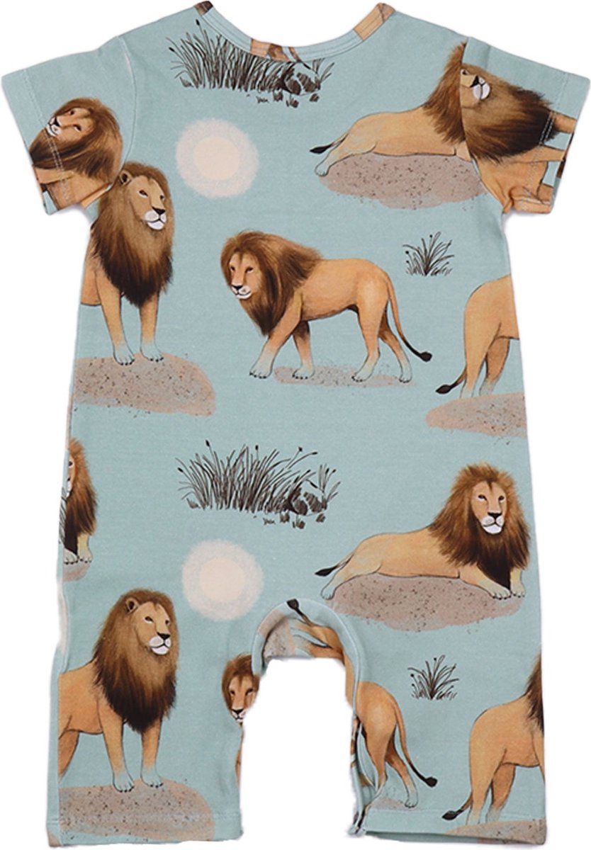Lion Friends Boxpakjes Bio-Babykleertjes Bio-Kinderkleding Lion Friends Boxpakjes Bio-Babykleertjes Bio-Kinderkleding