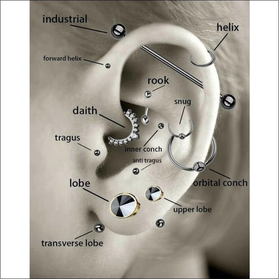 Helix Piercing Wit Opaal Chirurgisch Staal Links