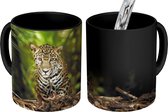 Magische Mok - Foto op Warmte Mok - Jonge jaguar in de jungle - 350 ML - Uitdeelcadeautjes