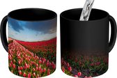 Magische Mok - Foto op Warmte Mok - De zon schijnt over een veld met roze tulpen - 350 ML - Uitdeelcadeautjes