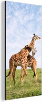 Wanddecoratie Metaal - Aluminium Schilderij Industrieel - Twee giraffen op de savannes van het Nationaal park Serengeti in Afrika - 80x160 cm - Dibond - Foto op aluminium - Industriële muurdecoratie - Voor de woonkamer/slaapkamer