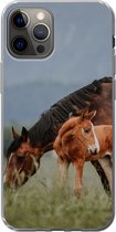 Geschikt voor iPhone 12 Pro hoesje - Paarden - Veulen - Natuur - Siliconen Telefoonhoesje