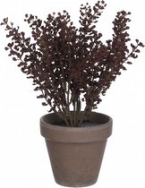 kunstplant Astilbe 21 cm keramiek bordeaux