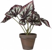 kunstplant Begonia in pot 30 cm zijde grijs