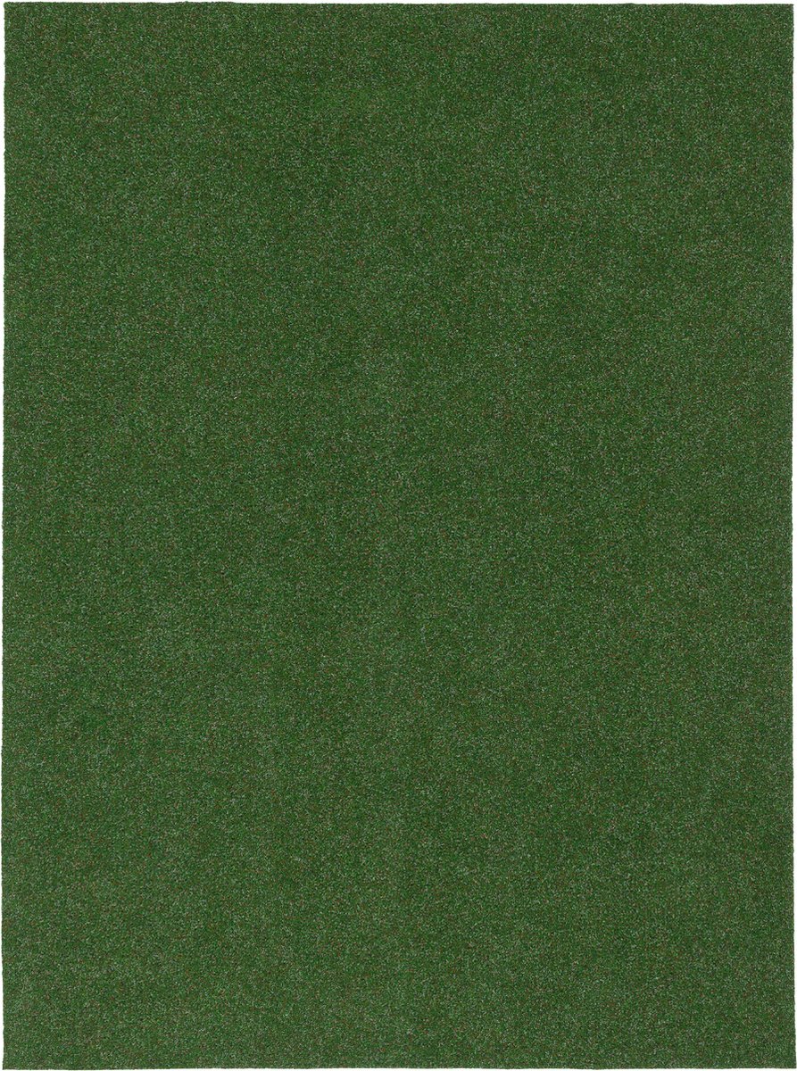 Snapstyle Vloerkleed Kunstmatige Grasmat met Puistjes Kingston