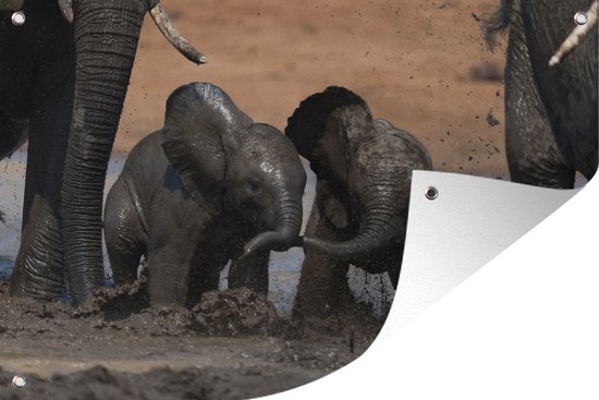 Muurdecoratie Baby olifanten spelend in de modder - Jongens - Meisjes - Kinderen - Kids - 180x120 cm - Tuinposter - Tuindoek - Buitenposter