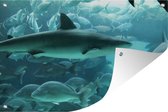 Tuinposter - Tuindoek - Tuinposters buiten - Grote haai in een aquarium - 120x80 cm - Tuin