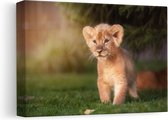 Artaza Canvas Schilderij Schattige Leeuwen Welp - Baby Leeuw - 30x20 - Klein - Foto Op Canvas - Canvas Print