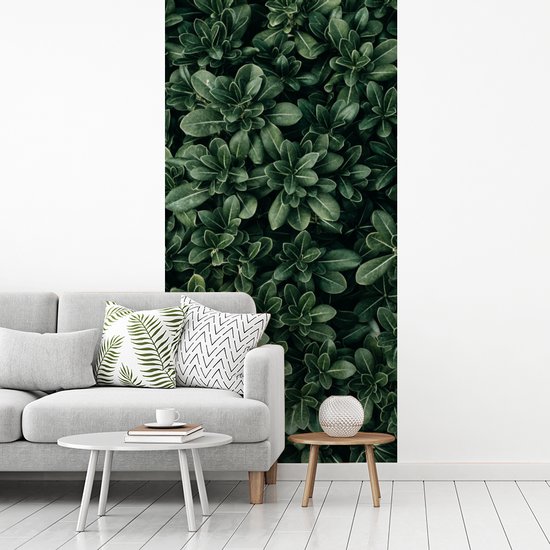 Papier Peint - Papiers Papier peint photo Feuilles - Plantes - Nature - Largeur 120 cm x Hauteur 240 cm