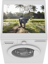 Wasmachine beschermer mat - Rottweiler met zonnestralen - Breedte 55 cm x hoogte 45 cm