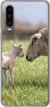Coque Huawei P30 - Mouton - Herbe - Agneau - Coque de téléphone en Siliconen