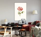 Darnastroos (York Lancaster Rose White) - Foto op Akoestisch paneel - 150 x 225 cm