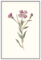 Harig Wilgenroosje (Greater Willow Herb) - Foto op Akoestisch paneel - 150 x 225 cm