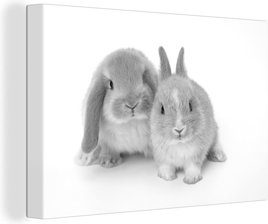Canvas Schilderijen - Twee konijnen - zwart wit - Wanddecoratie