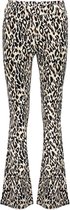 Geisha Broek Flared Legging Leopard Print 21162 20 Black/sand Combi Dames Maat - XXL