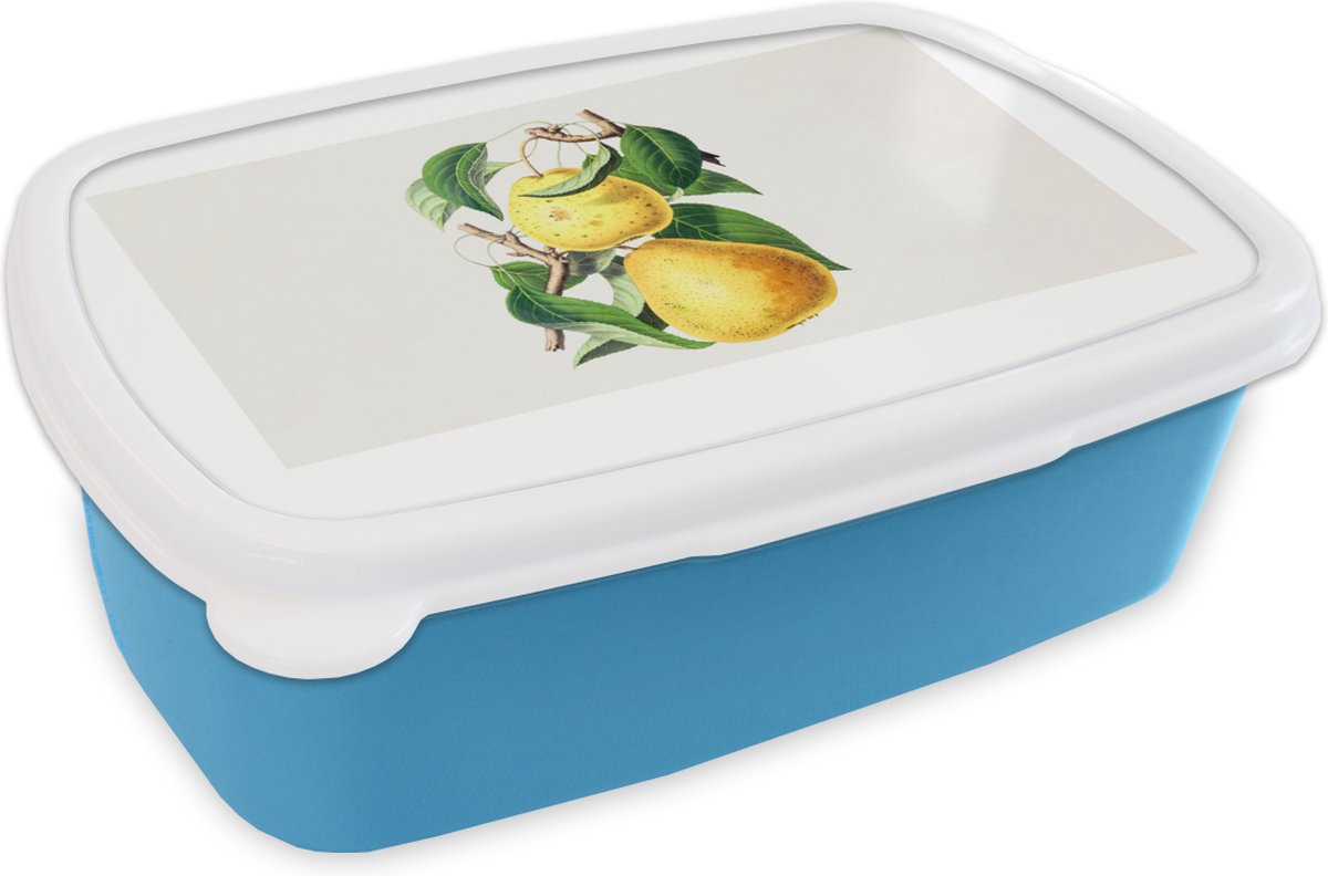 Broodtrommel Blauw - Lunchbox - Brooddoos - Peren - Fruit - Gezond - 18x12x6 cm - Kinderen - Jongen
