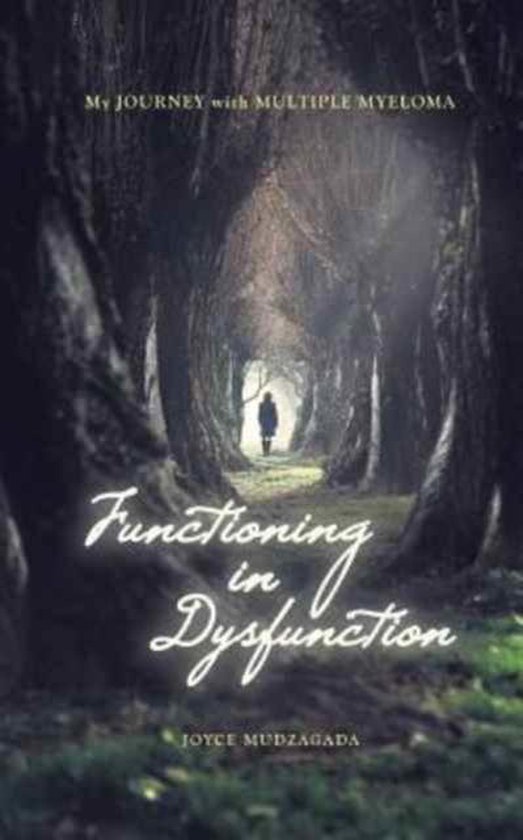 Functioning In Dysfunction - cover