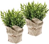 2x Kunstplant muizendoorn kruiden groen in pot 20 cm - Kunstplanten/nepplanten