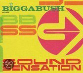 Various - Biggabush - Sound..
