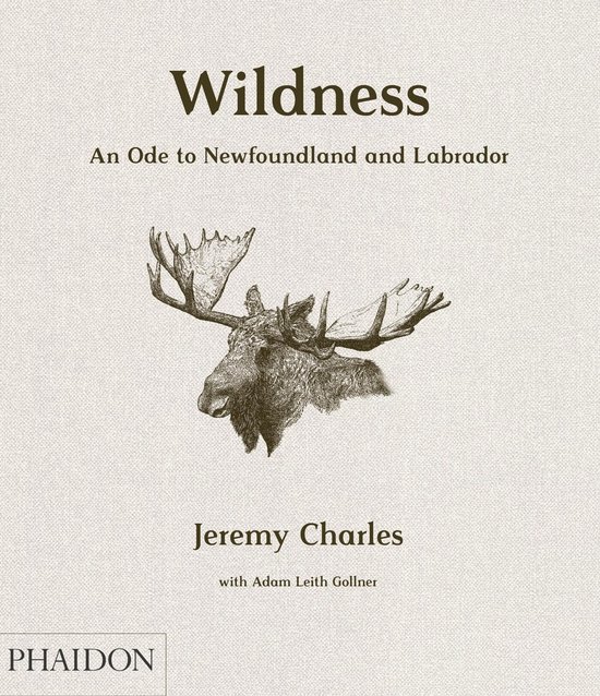 Wildness - cover