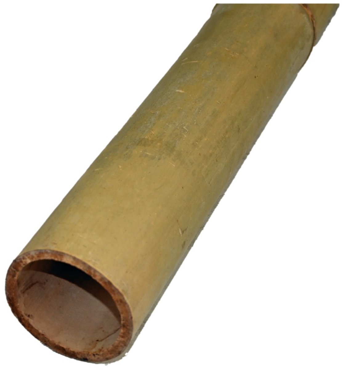 Bol.com TuinChamp Moso bamboepaal 8-9 400 aanbieding