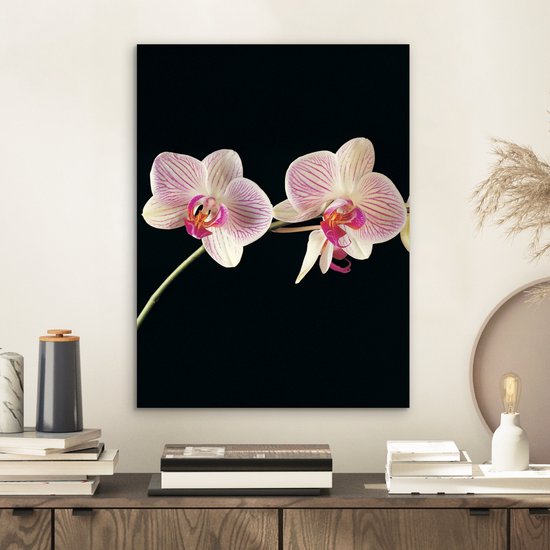Décoration murale Métal - Peinture Aluminium Industriel - Orchidée - Fleurs - Zwart - Rose - Boutons - 30x40 cm - Dibond - Photo sur aluminium - Décoration murale industrielle - Pour le salon/chambre