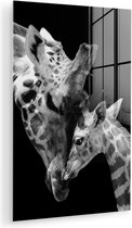 Glasschilderij - Foto op glas - Wilde dieren - Giraffe - Familie - Zwart - Wit - Acrylglas - 80x120 cm - Glasschilderij giraffe - Wanddecoratie dieren - Schilderij glas