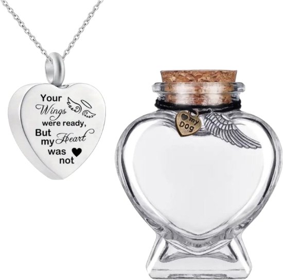 Minicremation Huisdier Crematie Sieraden Voor Ashes Paw Print Urn Ketting voor As Crematie Ketting voor Huisdier As Rvs Ash Ketting Memorial Ash voor Vrouwen Mannen, Roestvrij staal