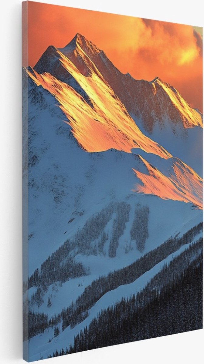 Saammp Canvas Schilderij - Natuur - Hoge Bomen - landschappen - 50x70 - Foto op canvas - Wanddecoratie - Muurdecoratie Woonkamer - Slaapkamer decoratie - Canvas Print Multicolor