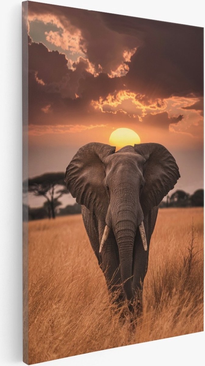 Saammp Canvas Schilderij - Olifant met zonsondergang - Natuur - Dieren - 80x120 - Foto op canvas - Wanddecoratie - Muurdecoratie Woonkamer - Slaapkamer decoratie - Canvas Print Multicolor
