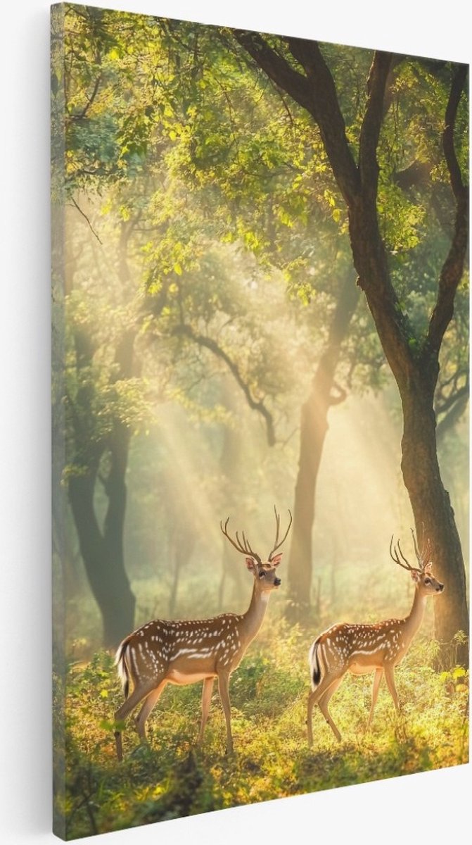 Saammp Canvas Schilderij - Herten in het bos - Dieren - Natuur - 80x120 - Foto op canvas - Wanddecoratie - Muurdecoratie Woonkamer - Slaapkamer decoratie - Canvas Print Multicolor
